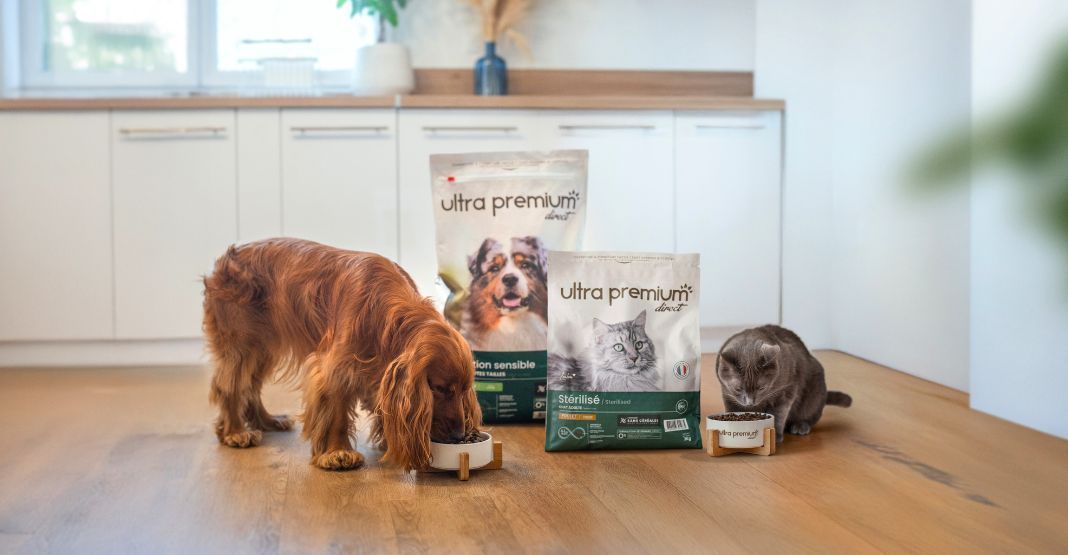 chien cocker et chat mangeant leurs croquettes ultra premium direct