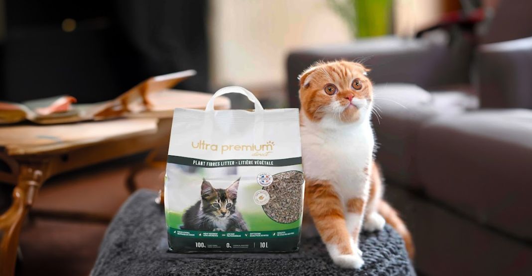 chat roux et blanc à côté de son sac de litière végétale