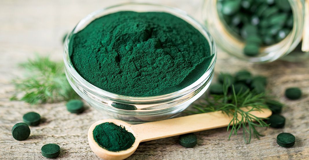 spiruline en poudre dans assiette