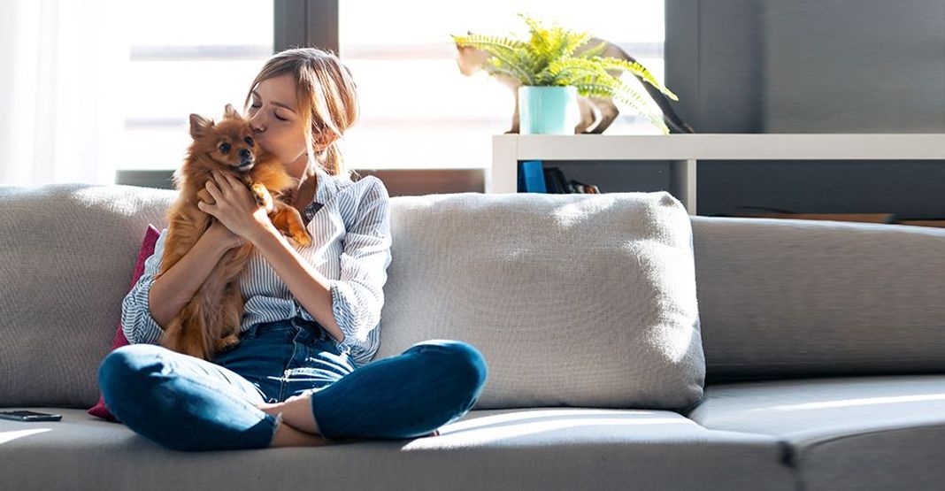Chien en appartement avec sa maîtresse