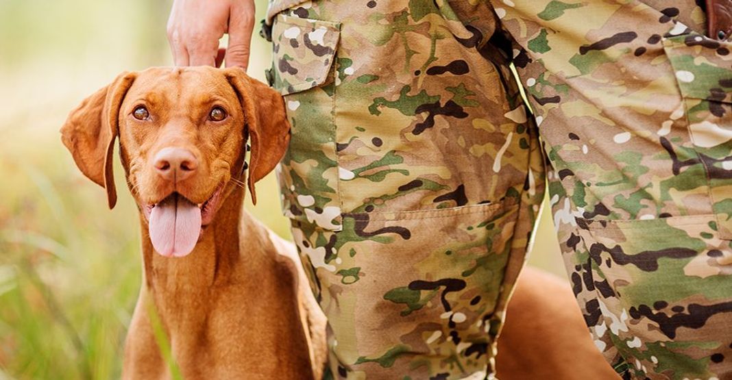 Chien de chasse avec son maître