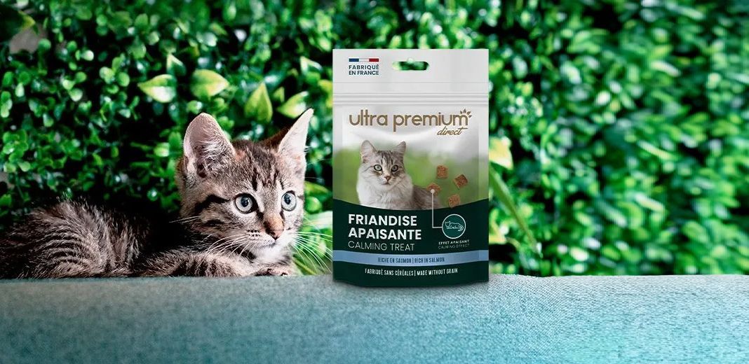 chaton devant friandise apaisante ultra premium direct