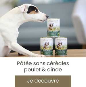 Pâtée pour chien
