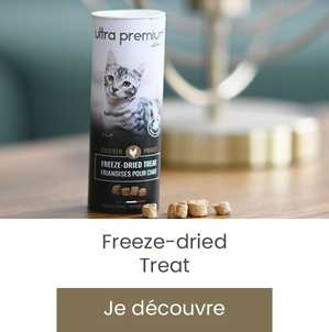 Freeze-dried pour chat