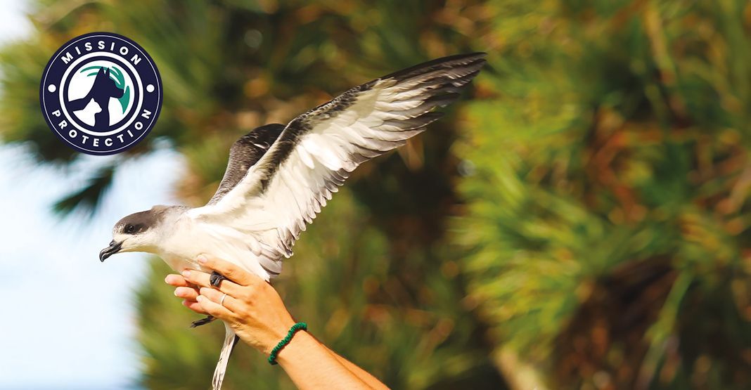 mission protection n°3 ultra premium direct