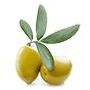 Pulpe-olive.jpg