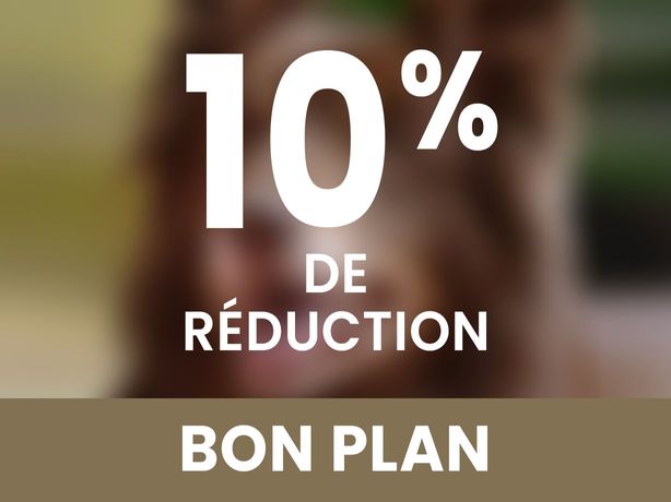 10% de réduction
