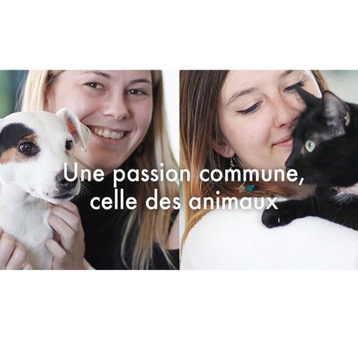 Ultra Premium Direct "Une passion commune, celle des animaux"