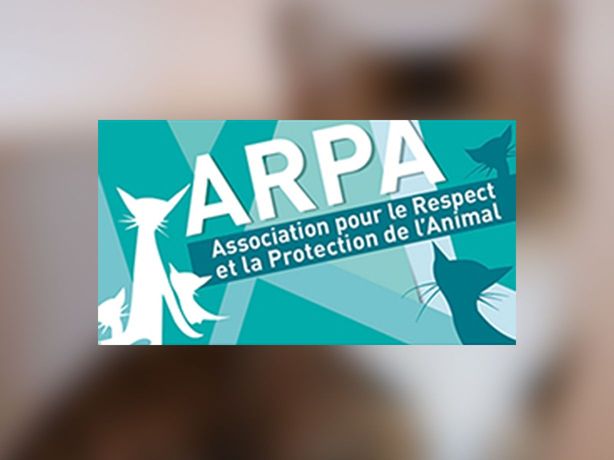 Logo ARPA 47