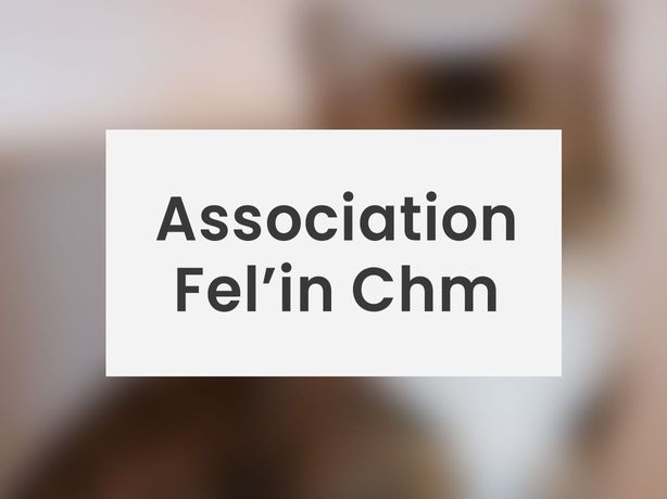 Association Fel’in Chm