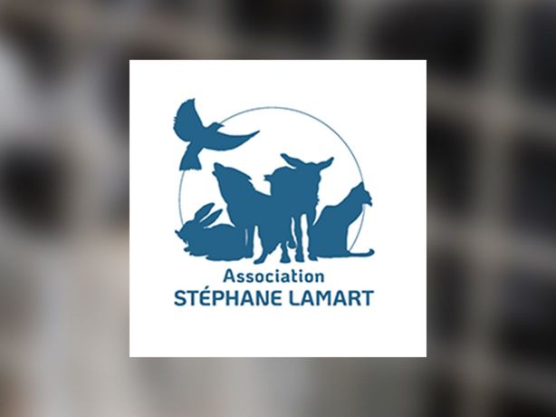Logo Association Stéphane Lamart