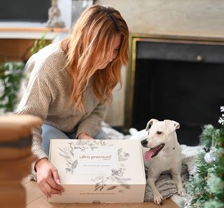 Un chien reçoit la box de Noël d'Ultra Premium Direct