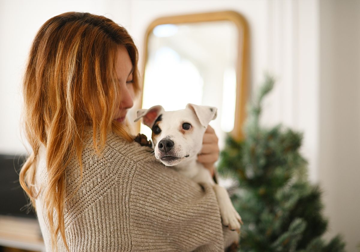 Maîtresse portant son chien