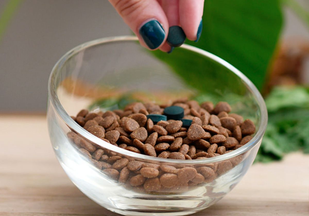 spiruline dans croquettes