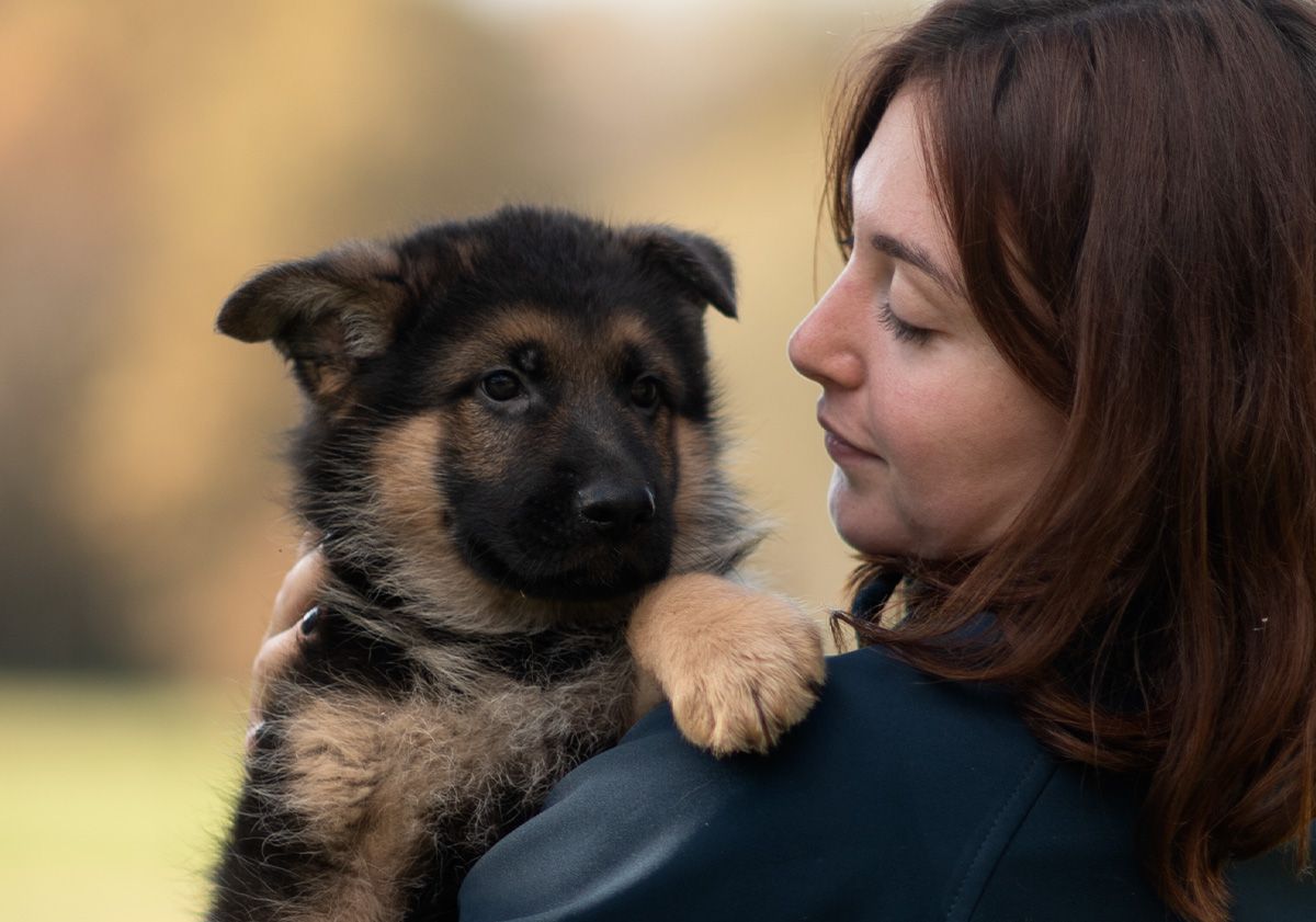 chiot dans les bras de sa maîtresse