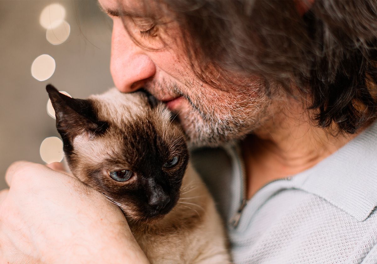 Maître embrassant son chat