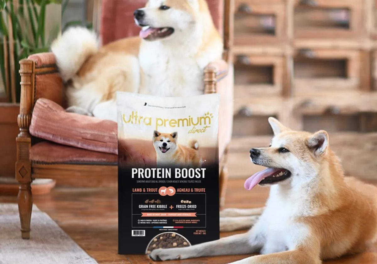 deux akitas inu roux couchés autour du sac de croquettes protein boost ultra premium direct