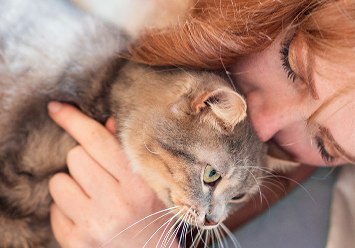 Moment câlin entre un chat et son propriétaire