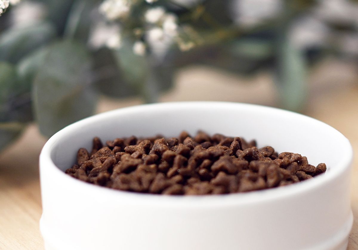 Gamelle de croquettes Ultra Premium Direct