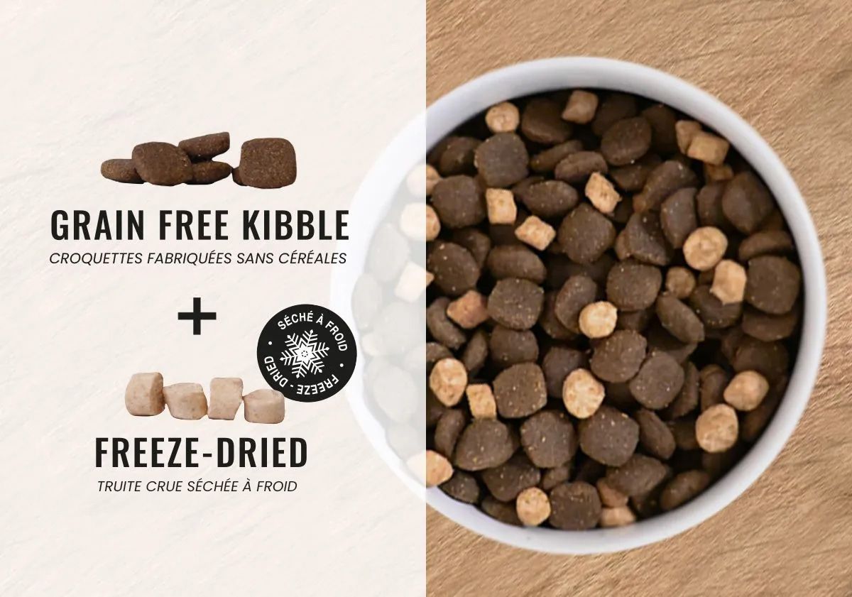 composition zoom croquettes protein boost truite crue 