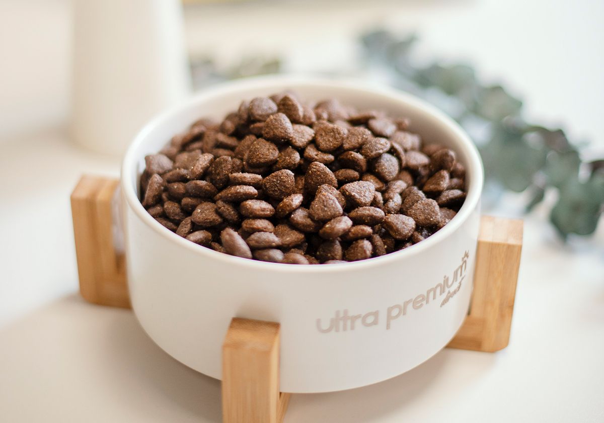 Gamelle de croquettes pour chien d'Ultra Premium Direct