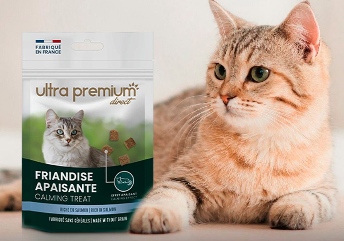Chat et paquet de friandises ultra premium direct