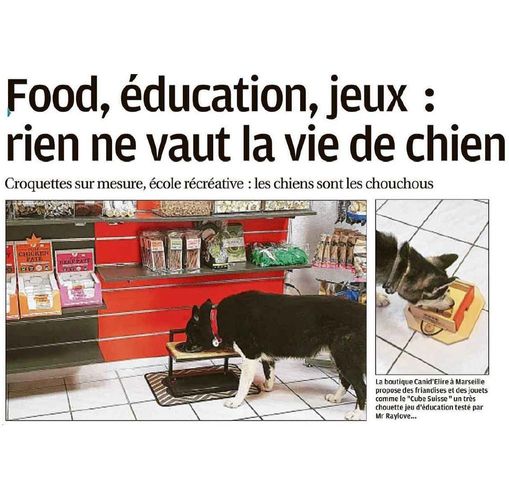 Article de La Provence intitulé : "Food, éducation, jeux : rien ne vaut la vie de chien"