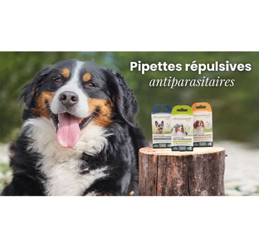 Pipettes répulsives antiparasitaires pour chien Ultra Premium Direct