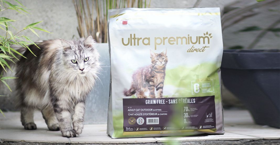 Chat à côté d'un sac de croquettes Ultra Premium Direct