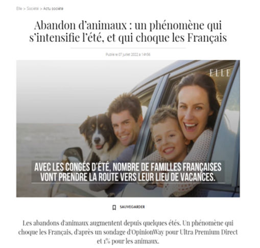 Article de Elle : "Abandon d’animaux : un phénomène qui s’intensifie l’été, et qui choque les Français"