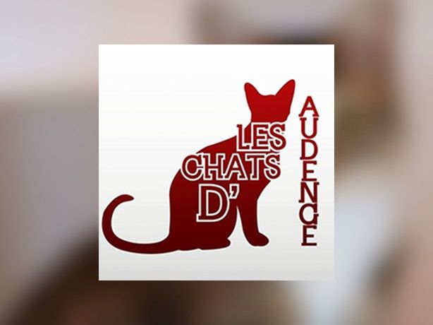 Logo Association les chats d’Audenge