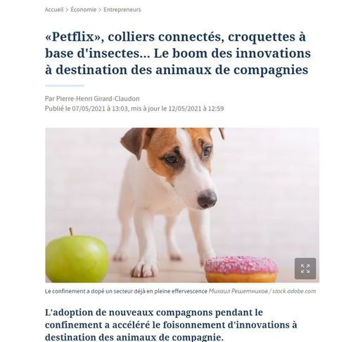 Article du Figaro intitulé : ""Petflix", colliers connectés, croquettes à base d'insectes... Le boom des innovations à destination des animaux de compagnie"