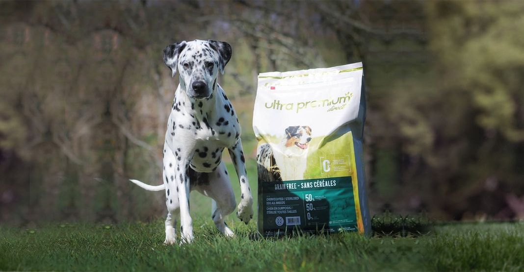 Dalmata all'aperto accanto a un pacchetto di crocchette Ultra Premium Direct