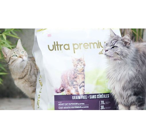 2 chats à côté d'un sac de croquettes fabriquées sans céréales d'Ultra Premium Direct