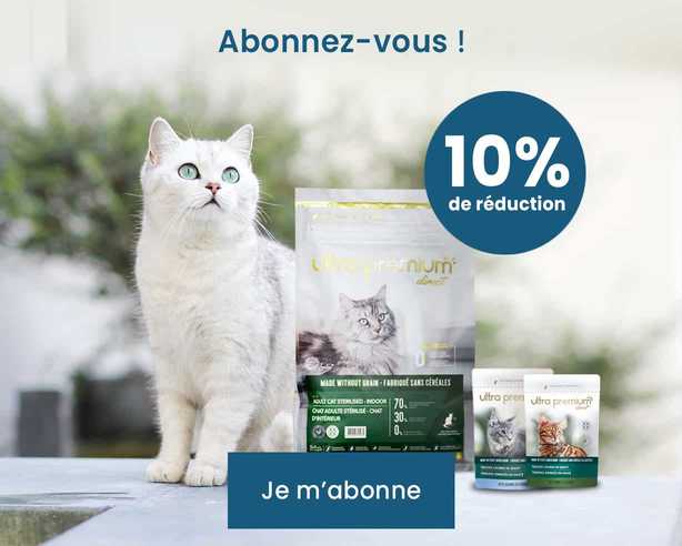 abonnement chat -10% de réduction