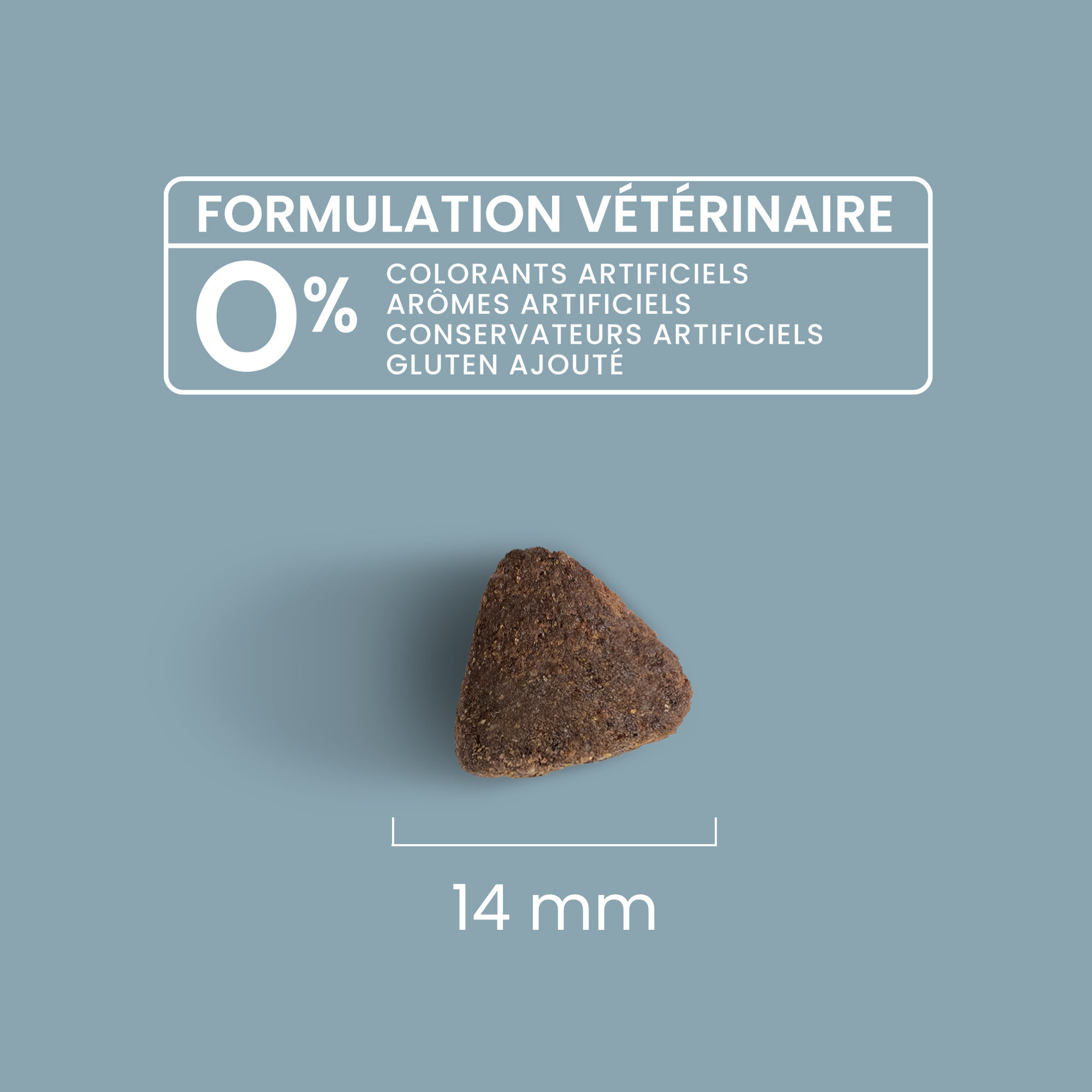 Zoom sur une croquette saumon et riz avec détails de taille et formulation vétérinaire pour chien adulte de toutes tailles
