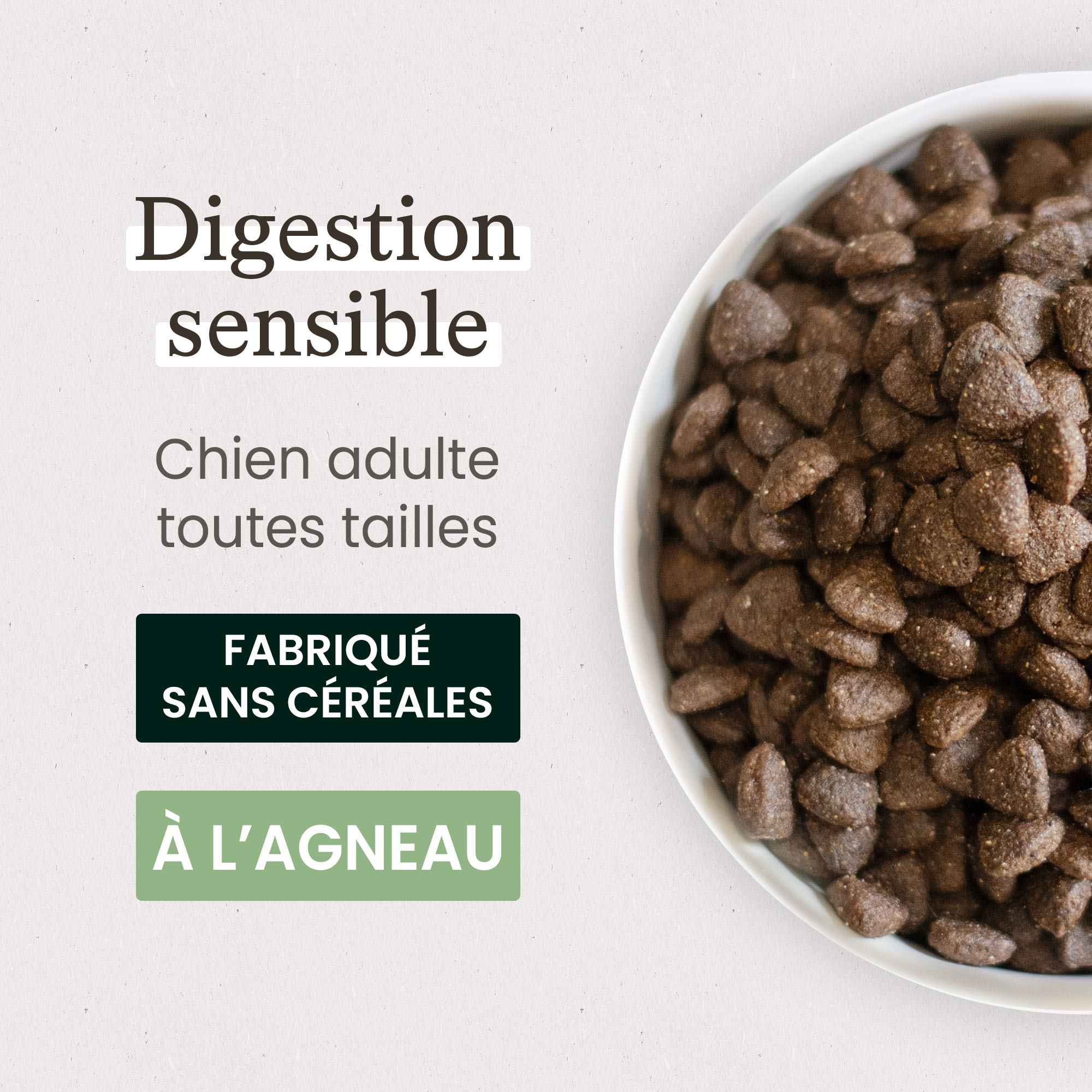 Zoom sur une gamelle contenant les croquettes sans céréales pour chien digestion sensible