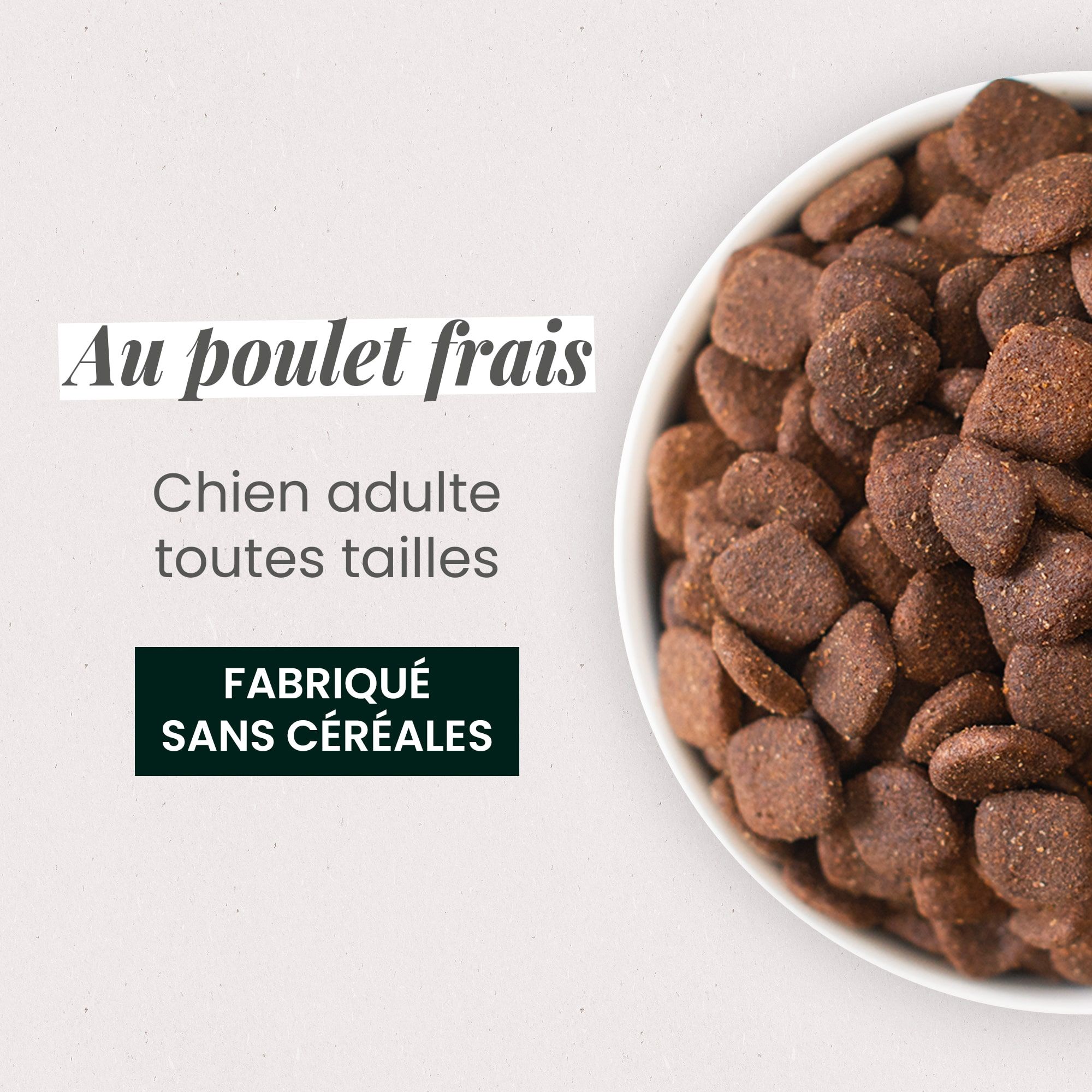 Gamelle contenant les croquettes sans céréales au poulet frais pour chien adulte en gros plan