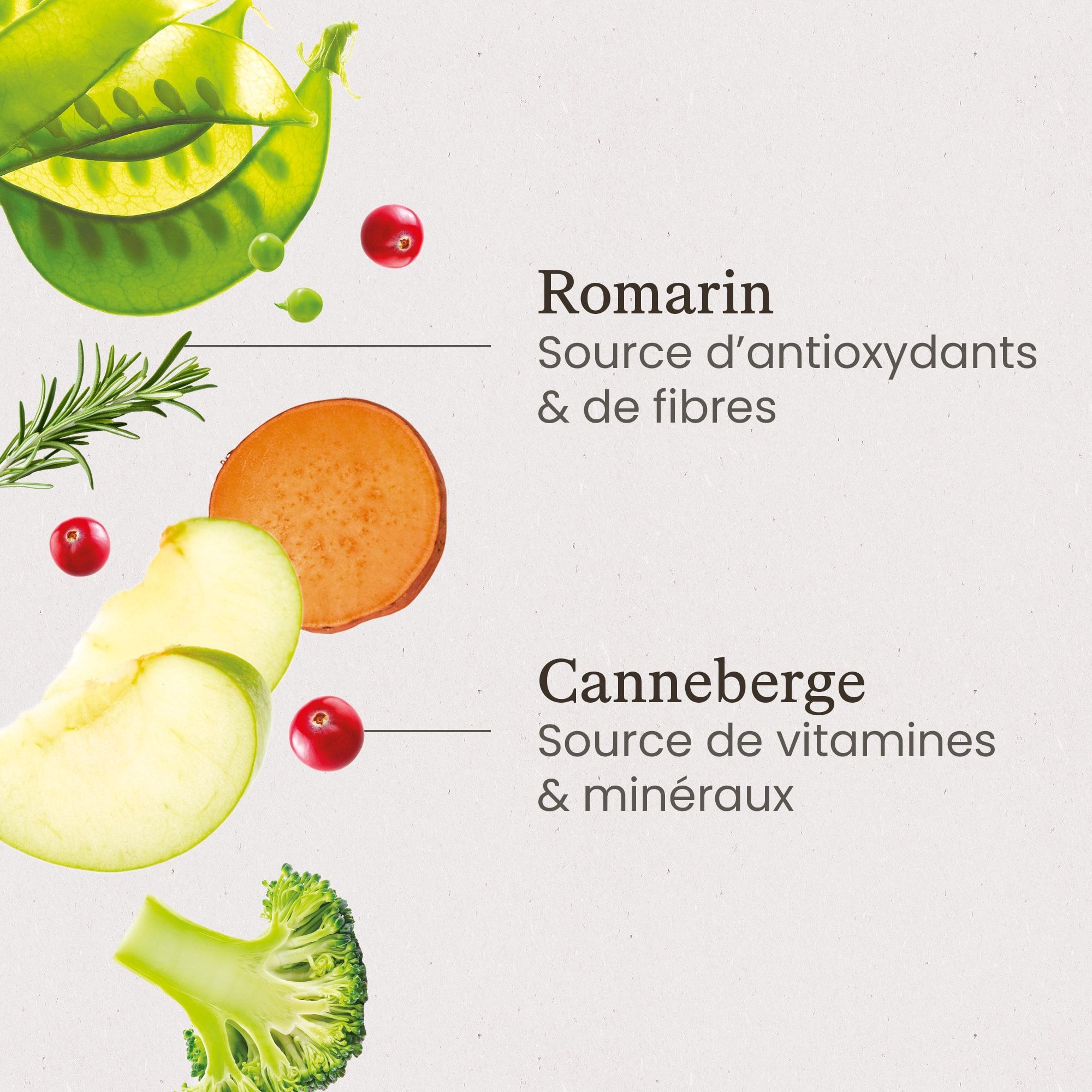 Zoom sur les ingrédients de la recette de croquettes sans céréales au poulet frais