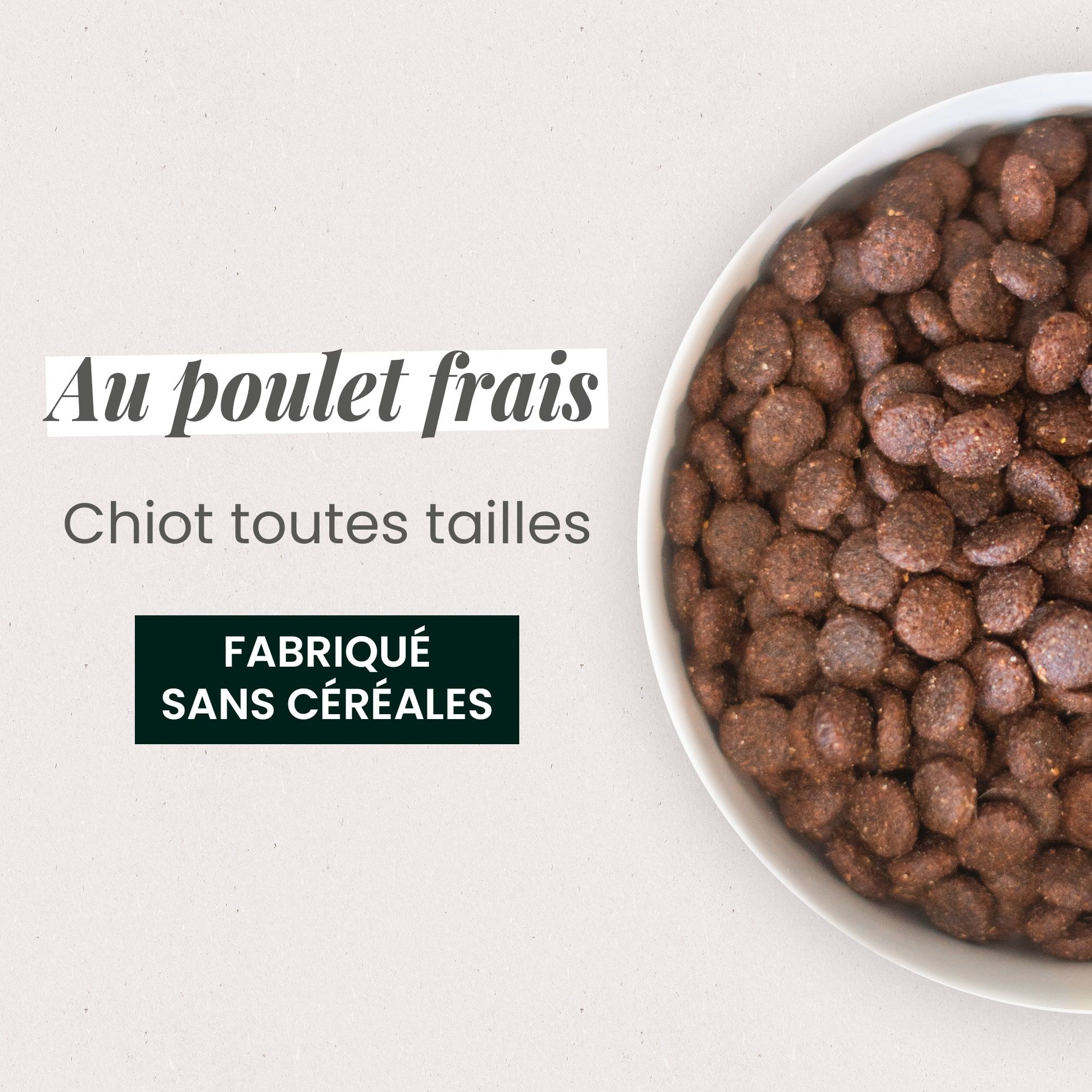 Gamelle contenant les croquettes sans céréales au poulet frais pour chiot en gros plan