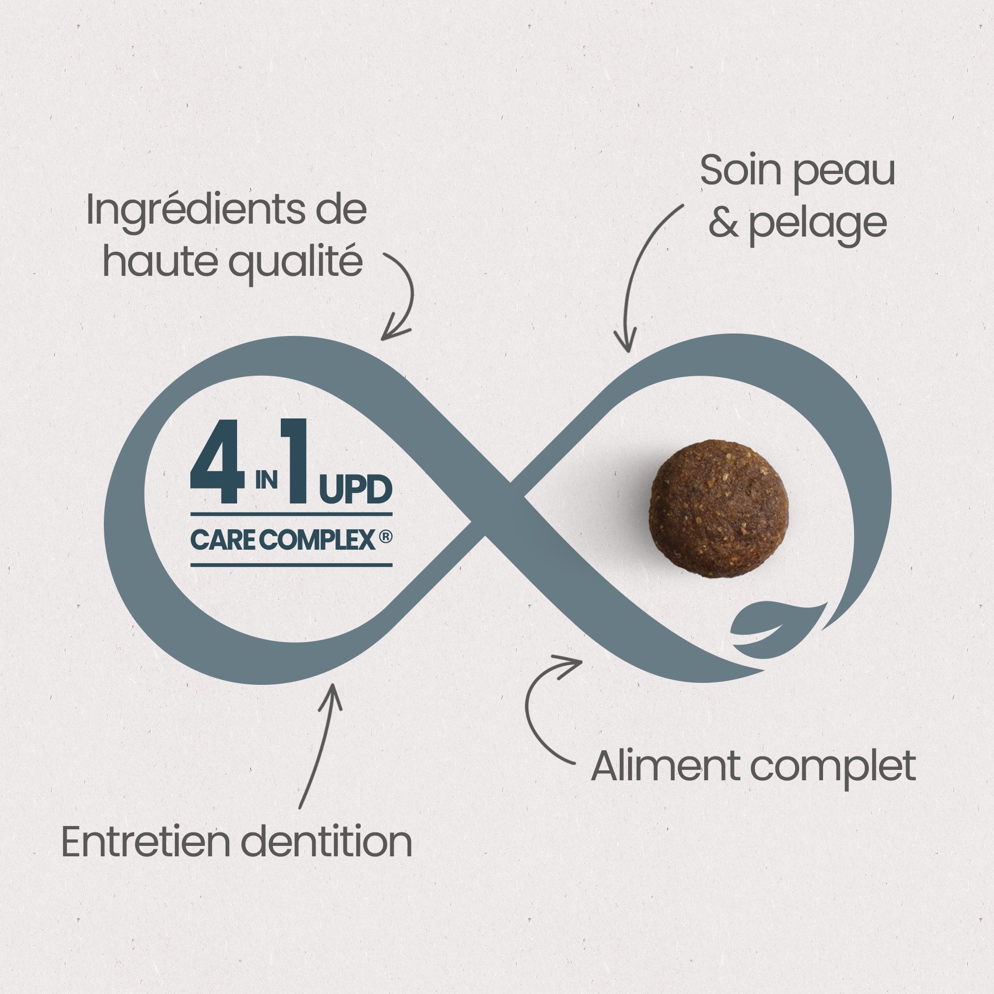 Zoom sur une croquette avec détails composition et taille croquette