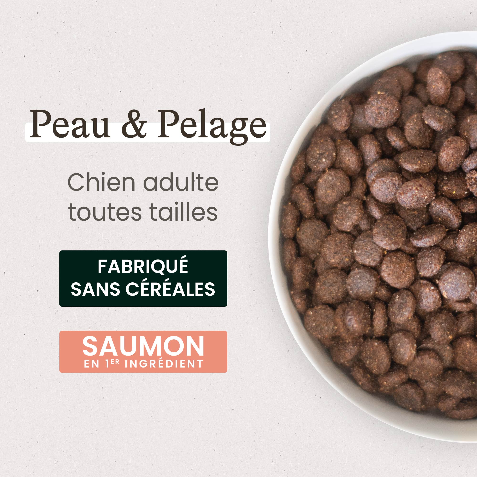 Gamelle remplie de croquettes peau et pelage pour chien adulte toutes tailles au saumon