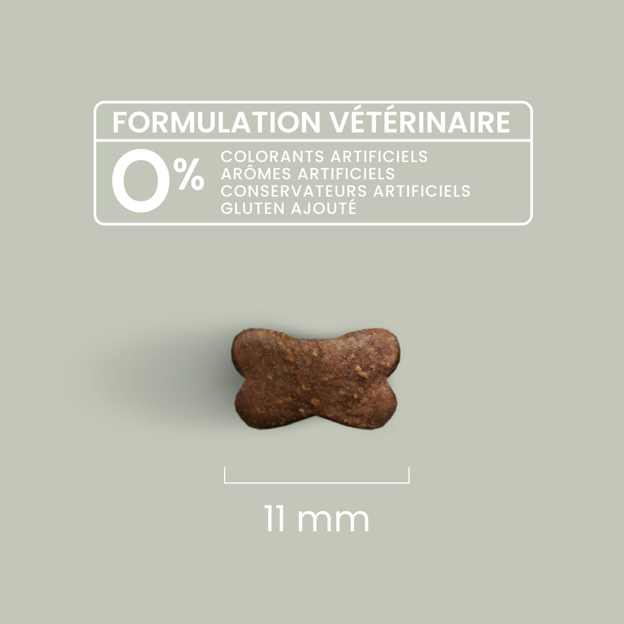 Zoom sur une croquette sans céréales au poulet pour chat adulte stérilisé avec détails de taille et formulation vétérinaire