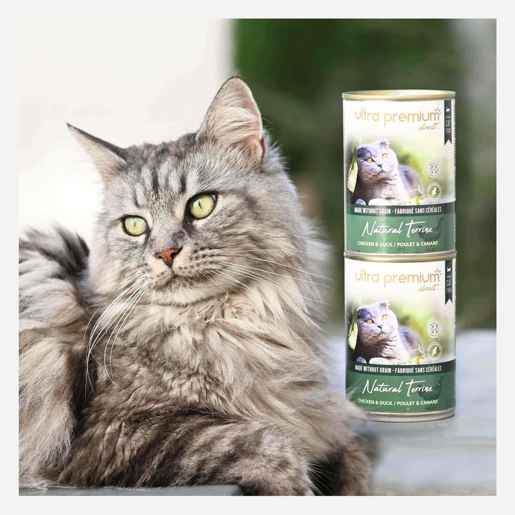 Maine Coon couché à côté de 2 boîtes de mousse sans céréales pour chat adulte au poulet & au canard