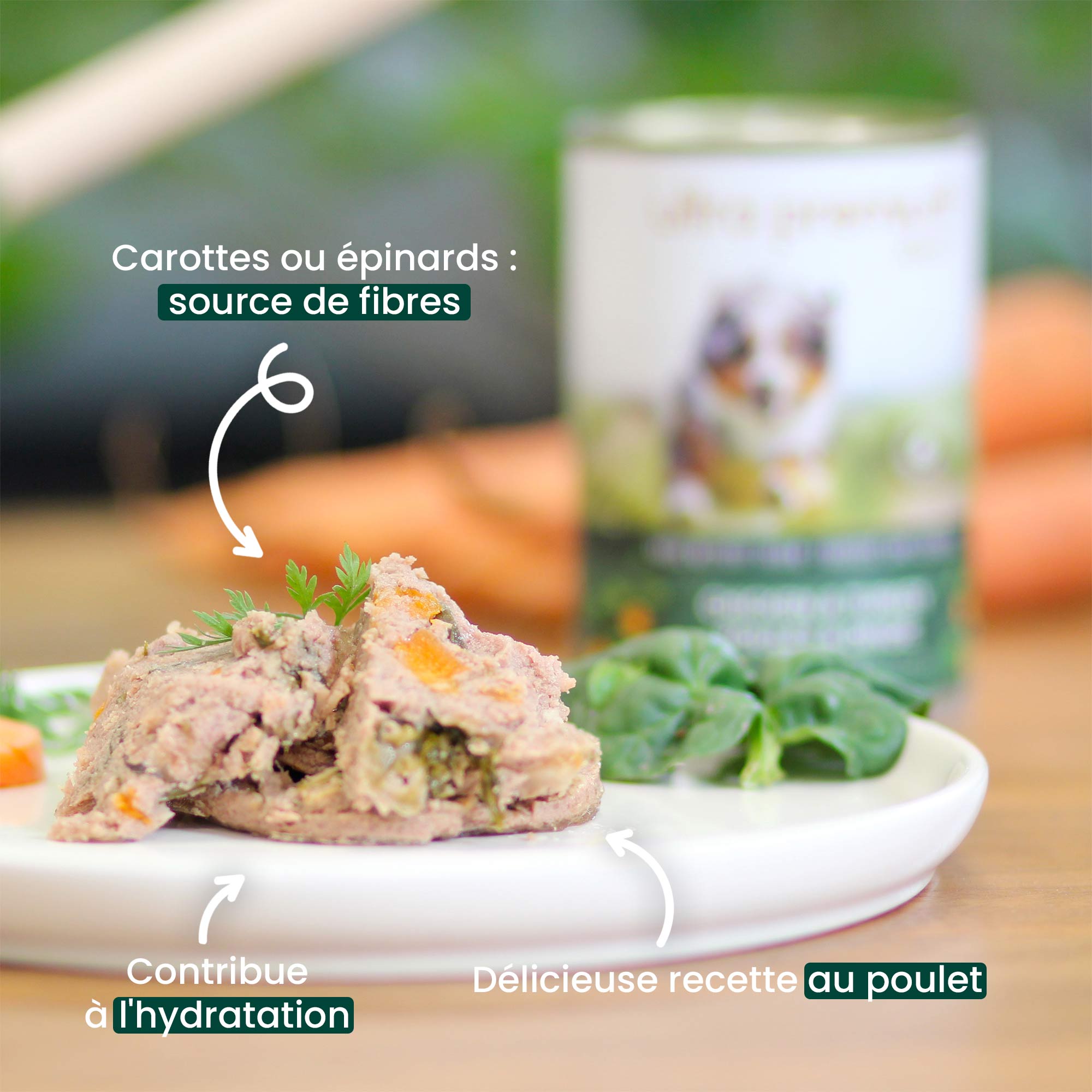 Boîte de pâtée pour chien sans céréales au poulet & dinde sur une planche en bois avec des rondelles de carotte au premier plan
