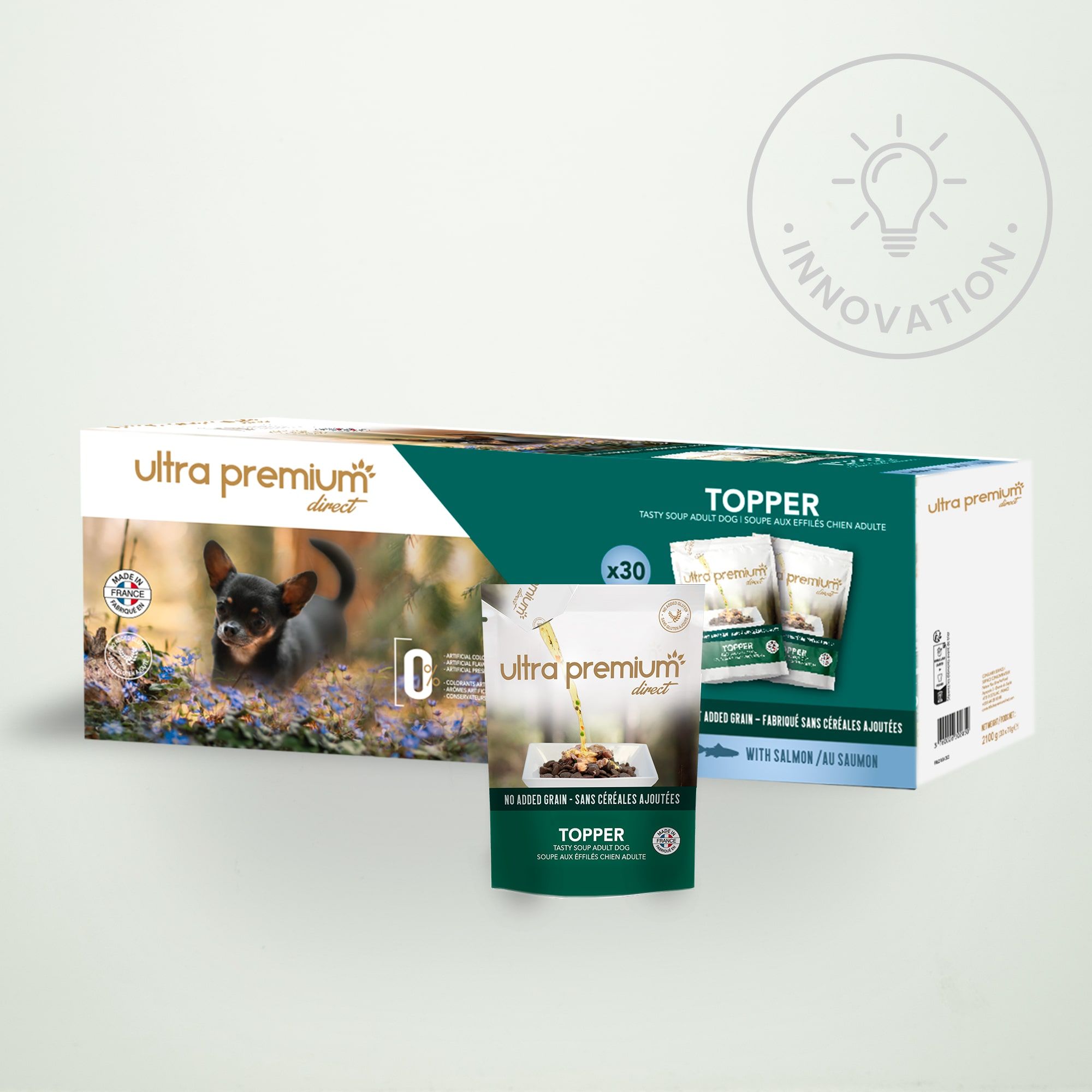 Soupe aux effilés pour chien sans céréales au saumon sur fond vert clair