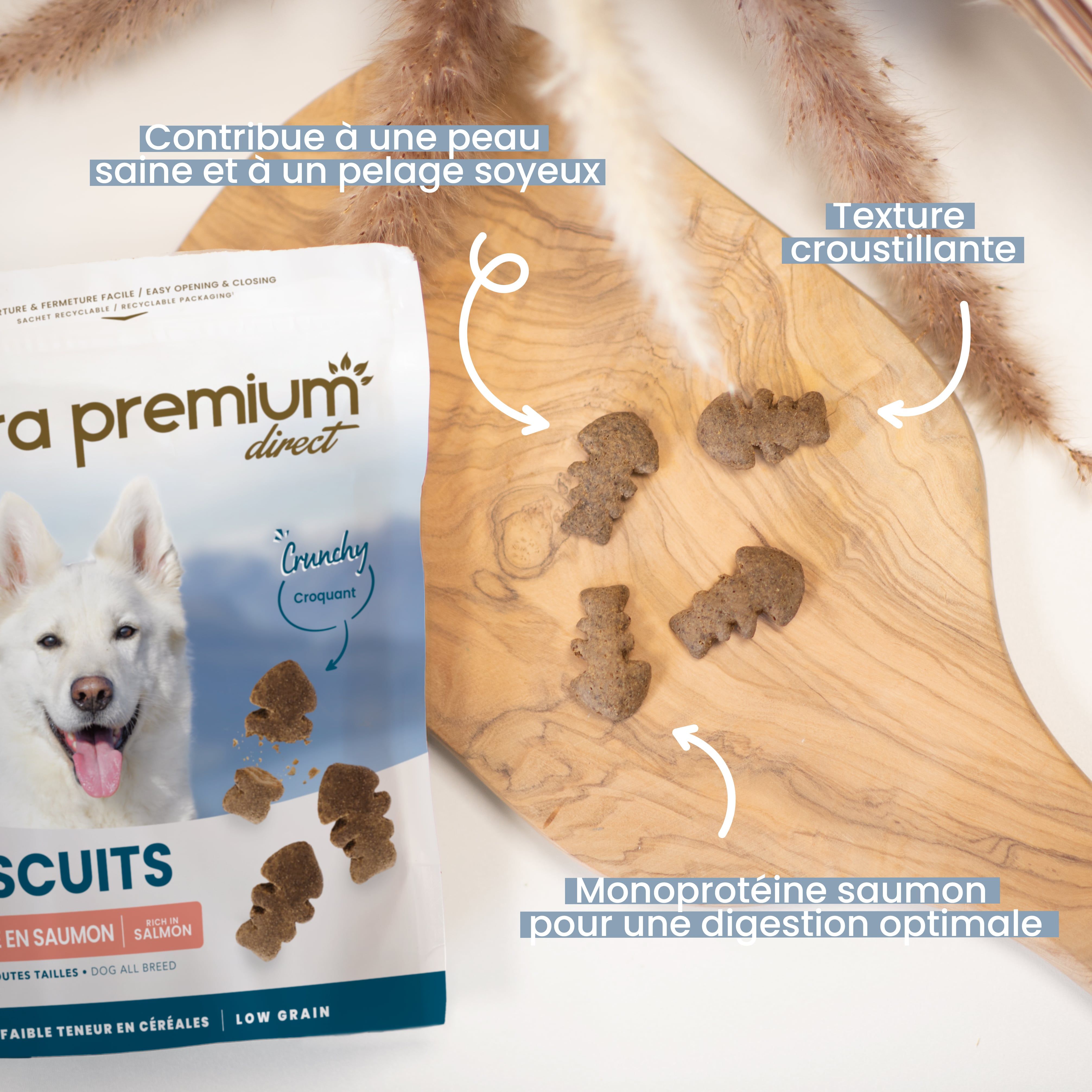 Friandise peau & pelage au saumon donné à un Samoyede assis