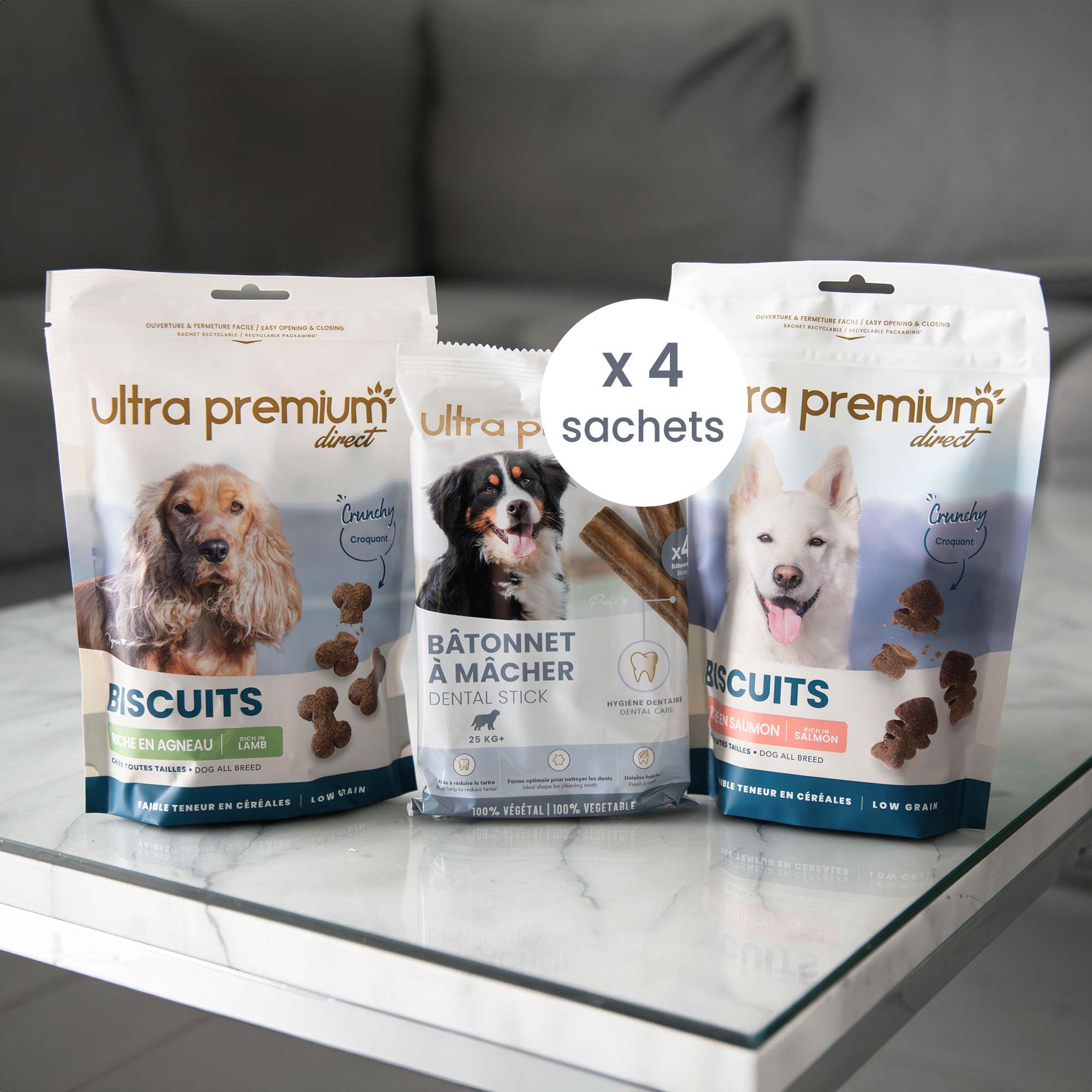 Kit plaisir grand chien +25kg, en intérieur