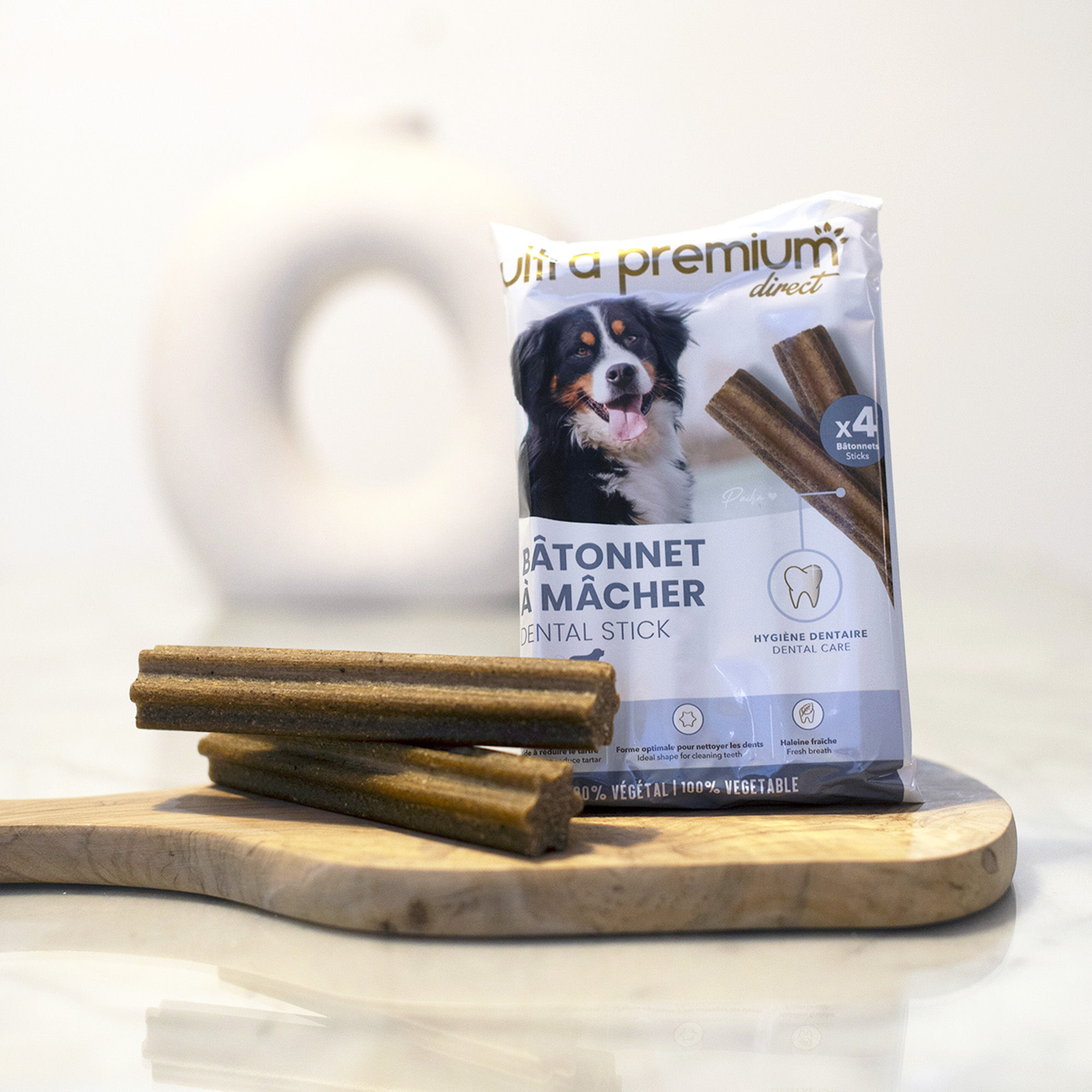 Bâtonnet à mâcher donné à un Bouvier Bernois