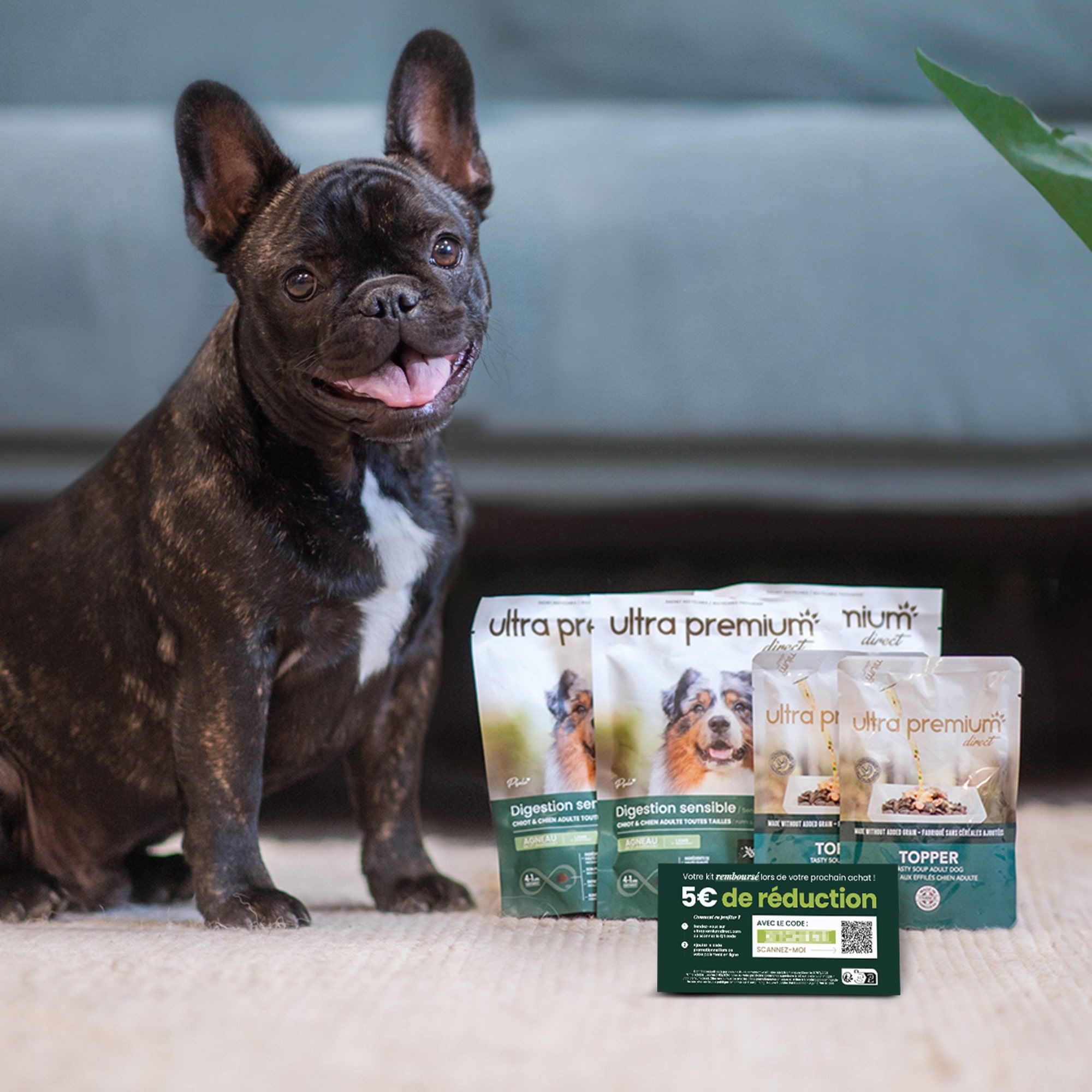 Chien assis à côte du kit découverte chien